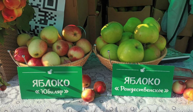 06.09 - продолжаем продажу яблок в Туле в Кремле