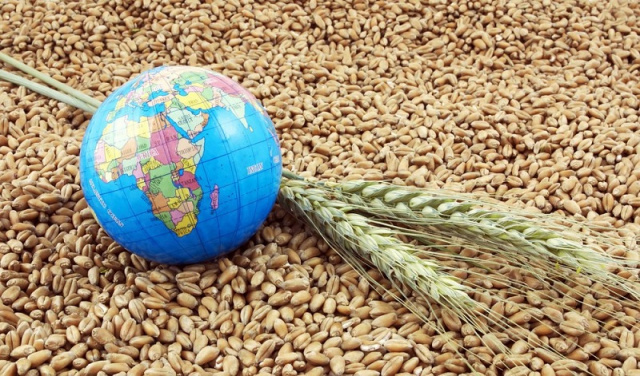 Экспорт пшеницы из РФ ограничат пошлиной